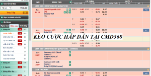 Những kèo cược có tại sảnh CMD368 Sin88